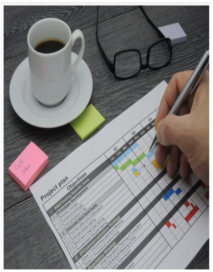 Coaching & MAPS : Mapping Actions = Planning Success